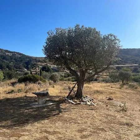 Serene Close To Aliki & Paros Airport *